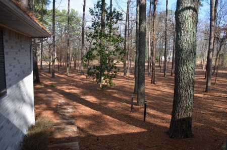 3 Bedroom Home on 3.69 Acres Hartselle, Alabama - image 1