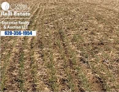 160 ACRE DRYLAND FARM in GRANT COUNTY KS - image 1