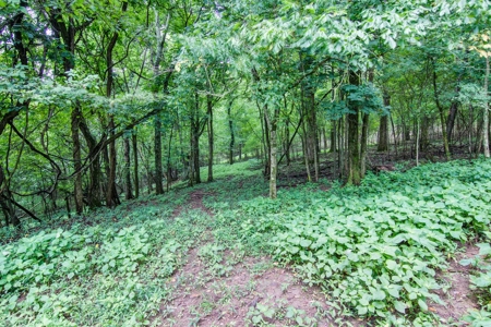 Tn Land Only For Sale Williamson County, Nolensville, Tn - image 1