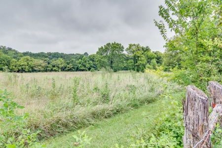 Tn Land Only For Sale Williamson County, Nolensville, Tn - image 2