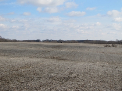 Tract 1: Lease Only Auction, 67 tillable Acres Scotland Co. - image 7