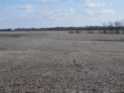 Tract 1: Lease Only Auction, 67 tillable Acres Scotland Co. - image 6