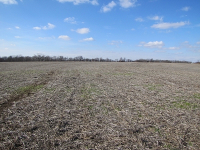 Tract 1: Lease Only Auction, 67 tillable Acres Scotland Co. - image 2