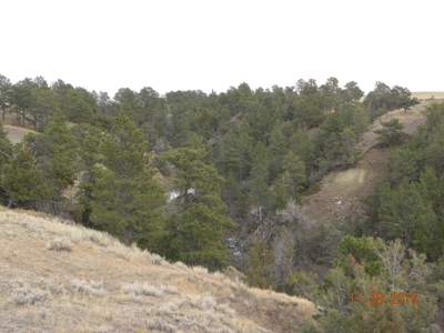 Absolute Auction - Sd Ranch Land For Sale-Stomprud Ranch - image 10