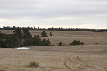 Absolute Auction - Sd Ranch Land For Sale-Stomprud Ranch - image 17