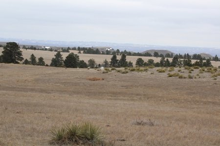 Absolute Auction - Sd Ranch Land For Sale-Stomprud Ranch - image 19