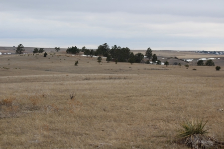 Absolute Auction - Sd Ranch Land For Sale-Stomprud Ranch - image 18
