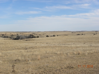Absolute Auction - Sd Ranch Land For Sale-Stomprud Ranch - image 5