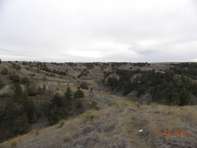 Absolute Auction - Sd Ranch Land For Sale-Stomprud Ranch - image 11