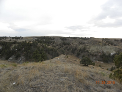 Absolute Auction - Sd Ranch Land For Sale-Stomprud Ranch - image 1