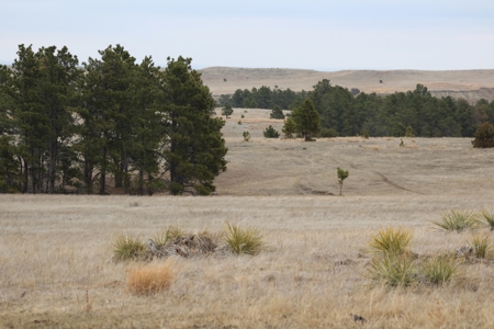 Absolute Auction - Sd Ranch Land For Sale-Stomprud Ranch - image 20