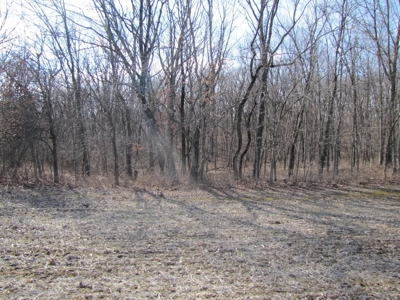 Tract 2: Lease Only Auction, 120 Acres Hunting Property - image 18