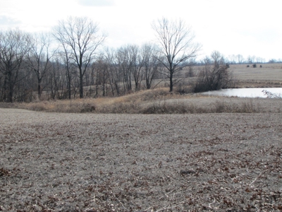 Tract 2: Lease Only Auction, 120 Acres Hunting Property - image 4