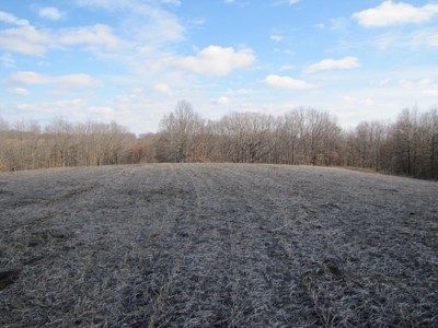 Tract 2: Lease Only Auction, 120 Acres Hunting Property - image 23
