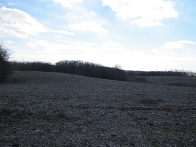 Tract 2: Lease Only Auction, 120 Acres Hunting Property - image 25