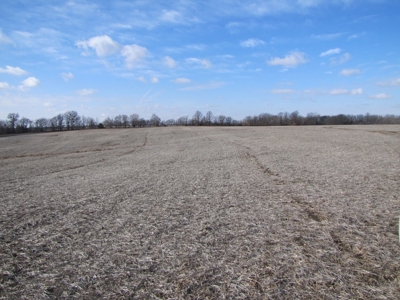 Tract 2: Lease Only Auction, 120 Acres Hunting Property - image 7