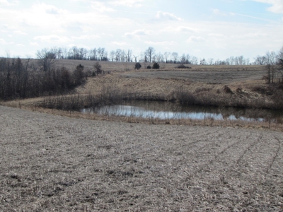 Tract 2: Lease Only Auction, 120 Acres Hunting Property - image 8