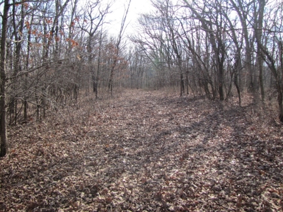 Tract 2: Lease Only Auction, 120 Acres Hunting Property - image 14