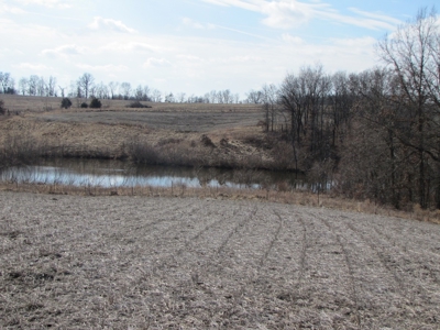 Tract 2: Lease Only Auction, 120 Acres Hunting Property - image 9