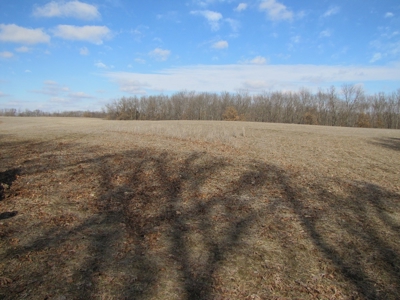 Tract 2: Lease Only Auction, 120 Acres Hunting Property - image 13
