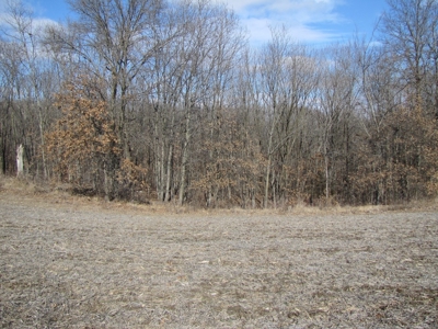 Tract 2: Lease Only Auction, 120 Acres Hunting Property - image 21
