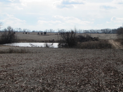 Tract 2: Lease Only Auction, 120 Acres Hunting Property - image 3
