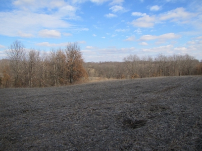 Tract 2: Lease Only Auction, 120 Acres Hunting Property - image 24