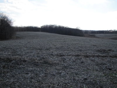Tract 2: Lease Only Auction, 120 Acres Hunting Property - image 26