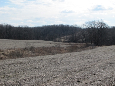 Tract 2: Lease Only Auction, 120 Acres Hunting Property - image 10
