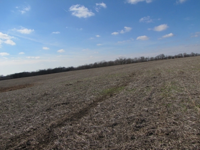 Tract 2: Lease Only Auction, 120 Acres Hunting Property - image 28