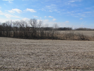 Tract 2: Lease Only Auction, 120 Acres Hunting Property - image 11