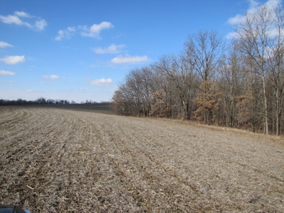Tract 2: Lease Only Auction, 120 Acres Hunting Property - image 22