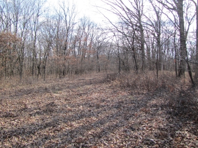 Tract 2: Lease Only Auction, 120 Acres Hunting Property - image 12