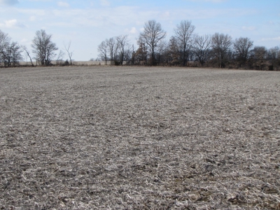 Tract 2: Lease Only Auction, 120 Acres Hunting Property - image 2