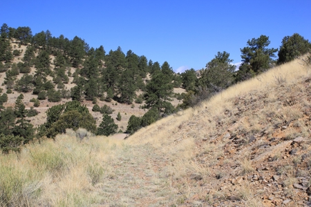 Rocky Mountain Lot with view - image 16