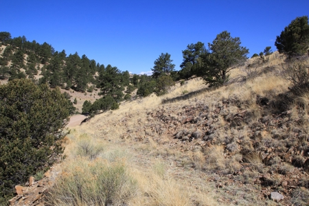 Rocky Mountain Lot with view - image 9