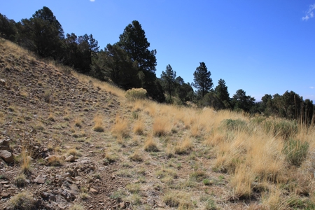 Rocky Mountain Lot with view - image 11