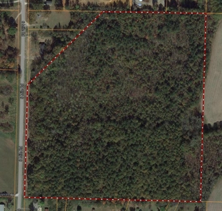 36.84 Acres Somerville, AL - image 11
