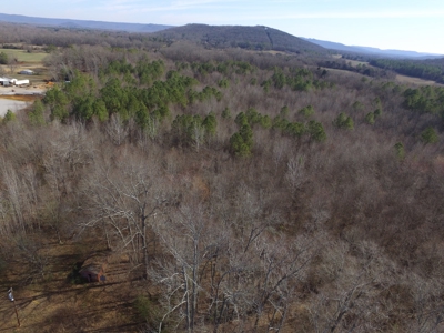 36.84 Acres Somerville, AL - image 3