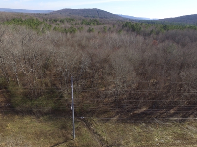 36.84 Acres Somerville, AL - image 5