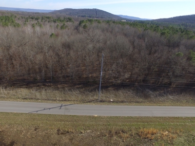 36.84 Acres Somerville, AL - image 1