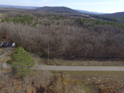 36.84 Acres Somerville, AL - image 4