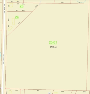 36.84 Acres Somerville, AL - image 9