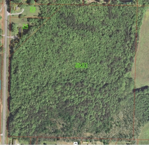 36.84 Acres Somerville, AL - image 7