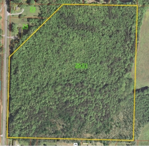 36.84 Acres Somerville, AL - image 8