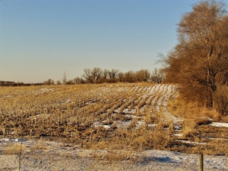 alt=