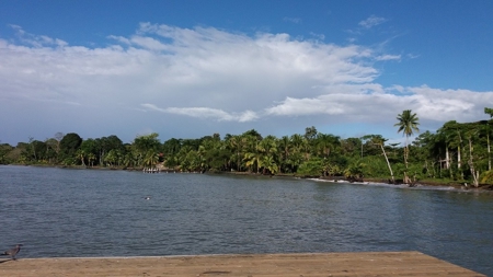 Titled Bocas del Toro Bed & Breakfast or  Luxury Compound - image 1