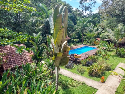 Titled Bocas del Toro Bed & Breakfast or  Luxury Compound - image 21