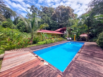 Titled Bocas del Toro Bed & Breakfast or  Luxury Compound - image 6