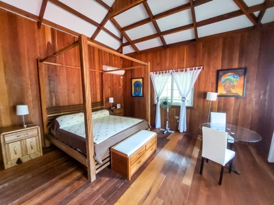Titled Bocas del Toro Bed & Breakfast or  Luxury Compound - image 19